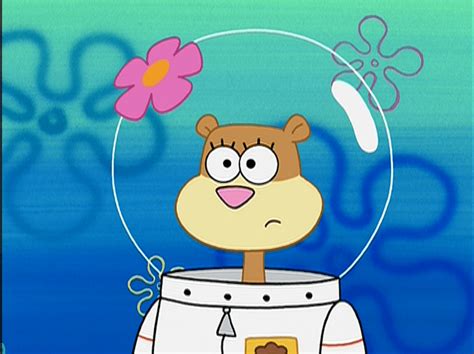 "The Fish Bowl" is a SpongeBob SquarePants episode from season 9. In this episode, when Sandy tries to study SpongeBob and Patrick's behavioral patterns, her science experiment goes awry. Sandy Cheeks Mr. Pavlovi (single appearance) Jellyfish (cameo) Incidental 1D Incidental 106 (lime) Incidental 48 Bill Incidental 23 Incidental 14 Incidental …